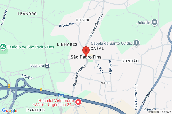 Abade São Pedro Fins