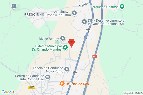 Pedro J B Gonçalves Viana