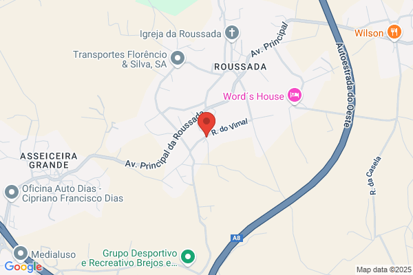 Francisco Jesus Ribeiro Dias