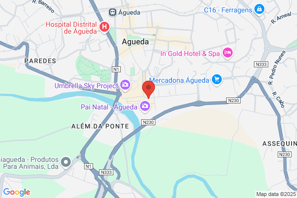 A J Mendes De Almeida