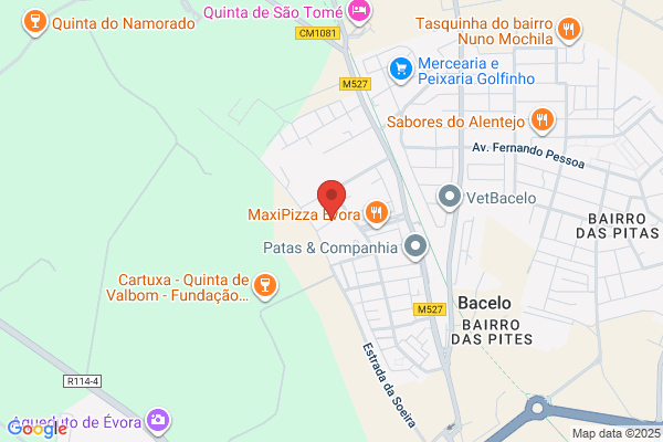 Joaquim Martinho Silva