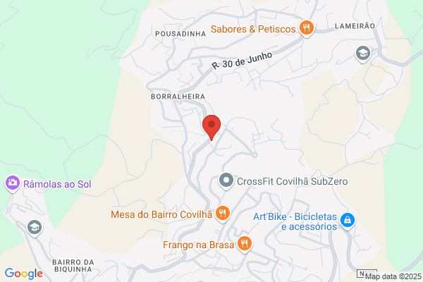 Jose Gabriel Andre Branco Lopes