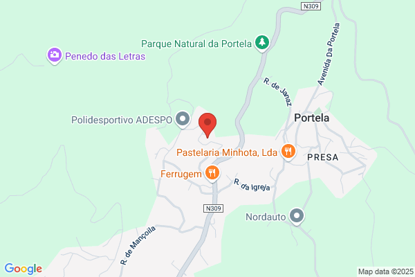 Domingos Ferreira Martins