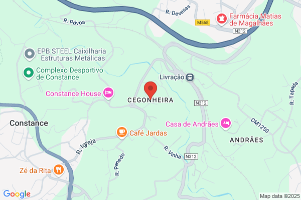 Filomena M Teixeira Couto