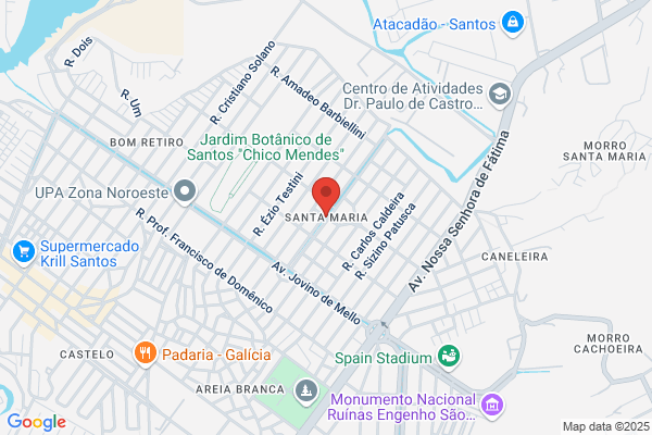 Maria R P R Santos Santos