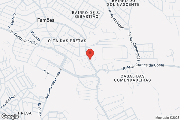 Vetzoo De Famões-Comércio De Alimentação E Tratamento De Animais lda