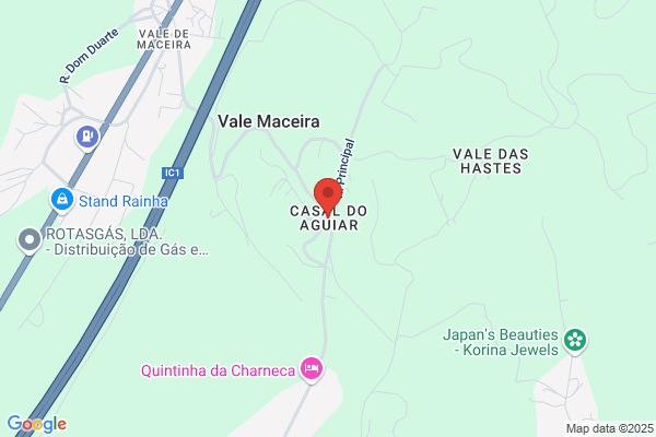 Manuel A Casal Aguiar