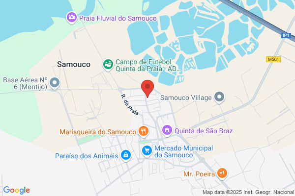 M Guilhermina S Figueiredo Ribeiro