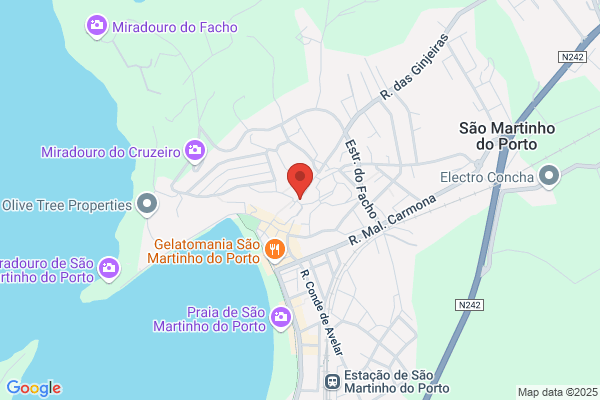 Joaquim P Martinho Silva
