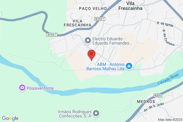 Joàn L Teixeira Melo