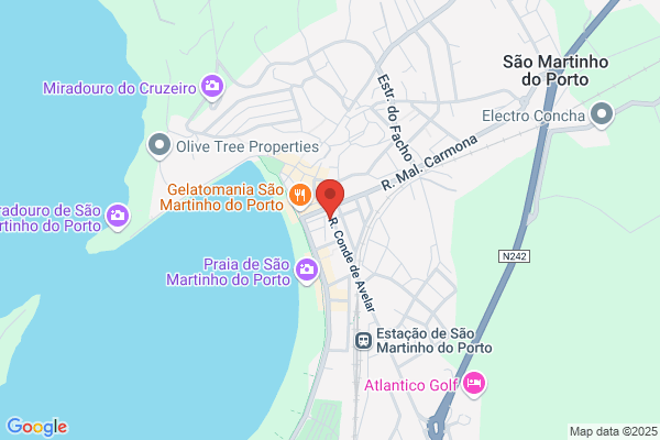 Maria J Machado Prata