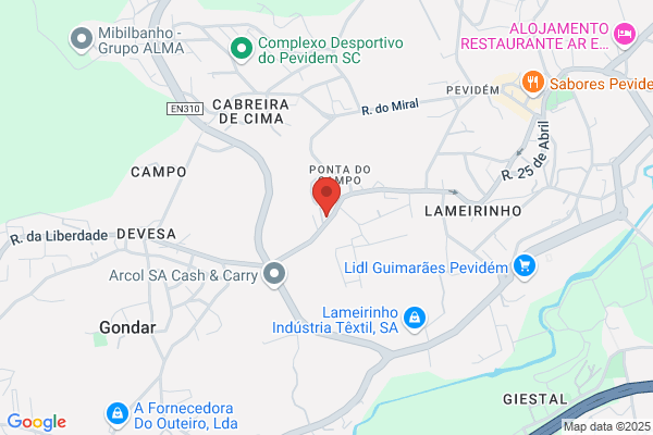 Lvaro Ribeiro Lopes