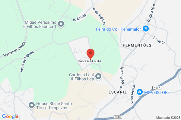 Joaquim Fernando Teixeira Carneiro