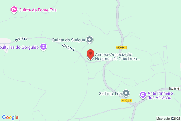 Associaï De Criadores De Ovinos Do Sul-Acos
