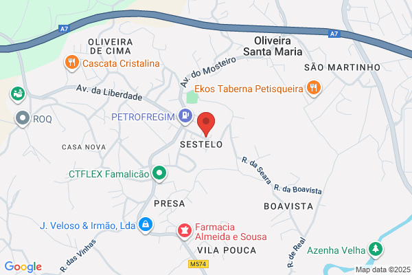 A San-Industria Grafica E De Etiquetas. Lda