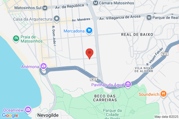 Abel J Domingues Taveira