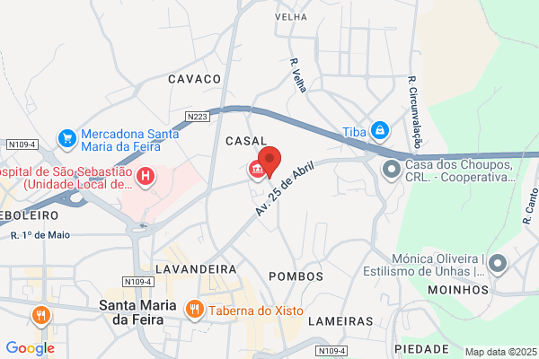 Pïco De Sàtiago Carreira