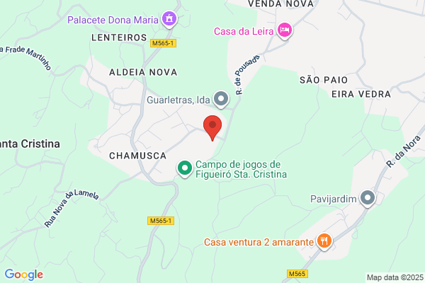Cristina M Carneiro Machado