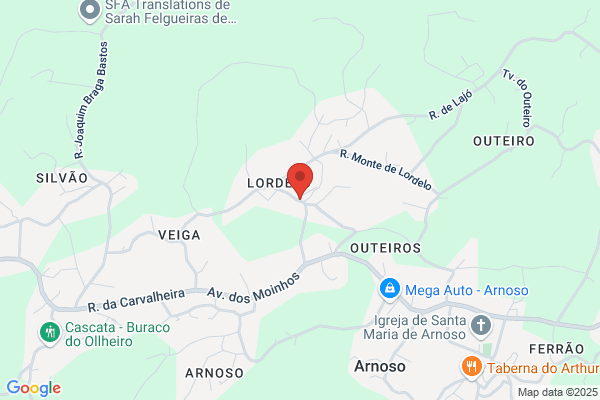 Sandra C Martins Moreira