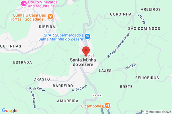 Carla S Pires Silvestre