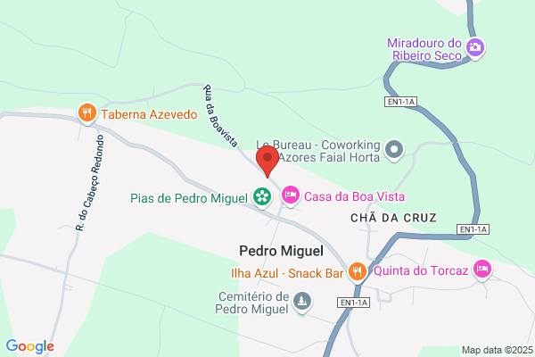 Hercio Hopfer Soares E Silva & C lda