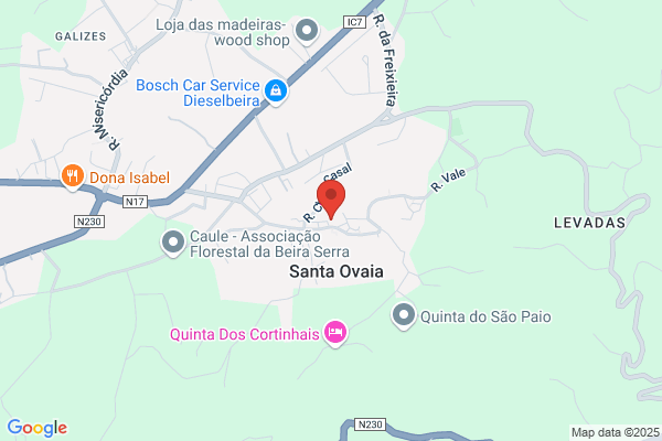 Ana Espéto Santo