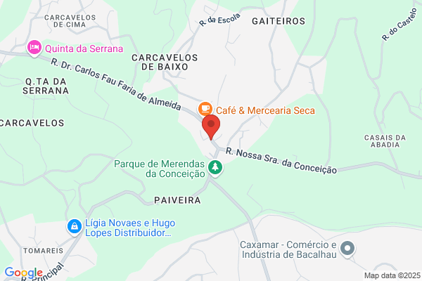 Day Cargo-Consultoria E Organizaï De Transportes Lda