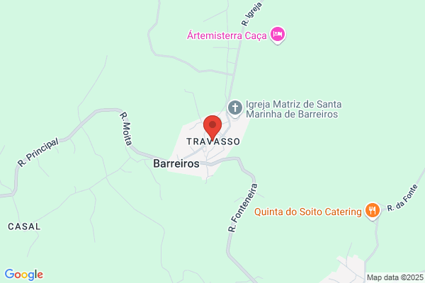 Carlos M Coutinho Santos