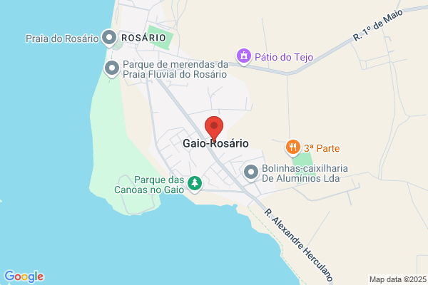 Maria F S Gaio Castro