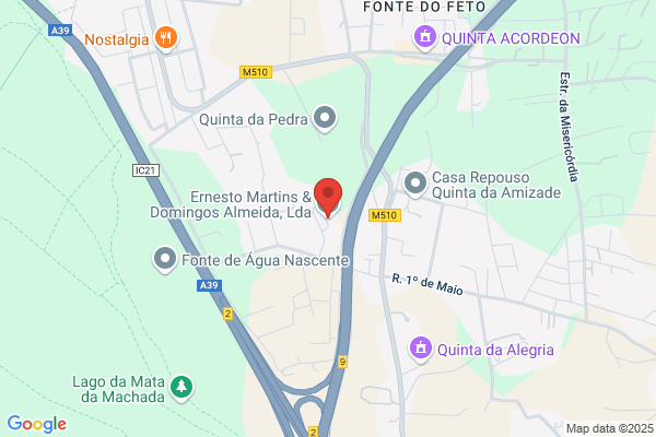 Domingos I Almeida Cruz