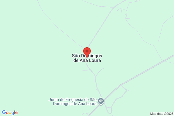 Ana Domingos