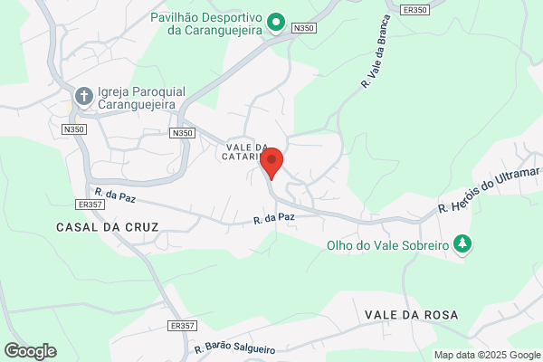 Artur M D M Lopes Baiü