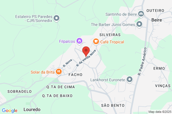 Albino J Paiva Pereira