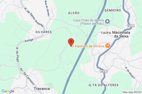 Danport-Isolamentos Tíicos E Reabilitaï De Ediféos Lda