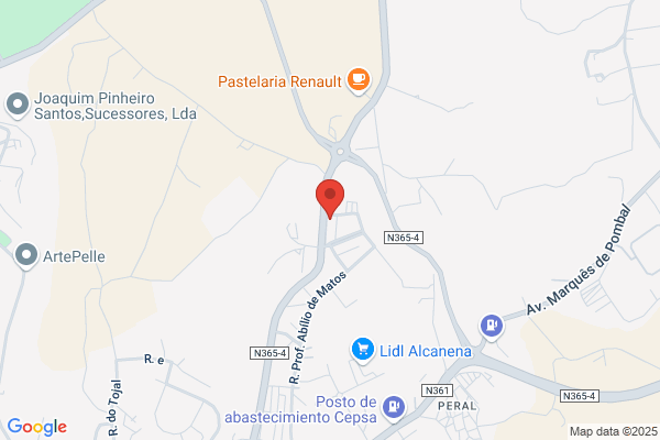 A P I C-Associaiao Portuguesa Dos Industriais De Curtumes
