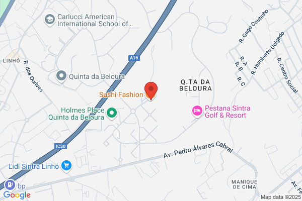 Ana Jácome Morgado