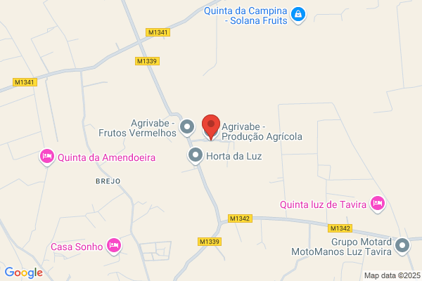 Emio-Sociedade De Agricultores E Vendedores De Produtos Agrïlas Do concelho De tavira lda