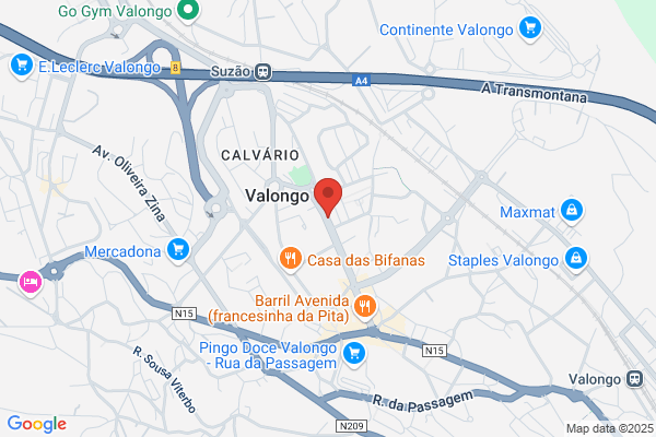 Agencia De Viagens Vallis Longus. Lda
