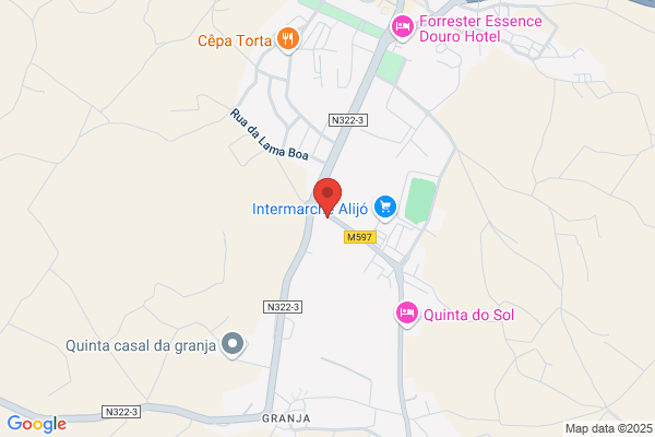 Arisdouro-Passeios Turísticos Lda
