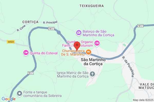 Maria L C Mota Veiga