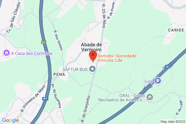 Somidol-Sociedade Vinecola. Lda