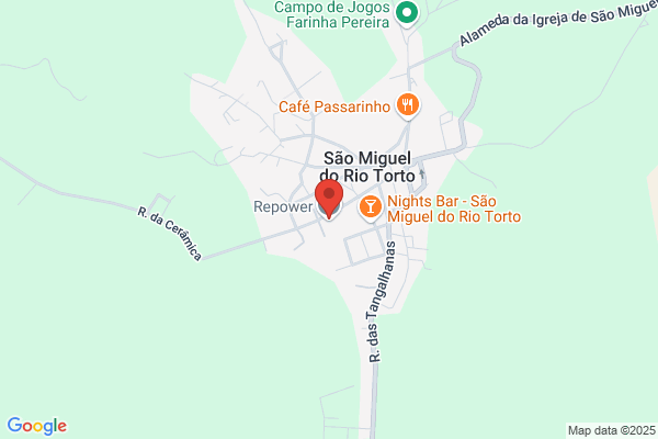 Henrique Maria M Alves