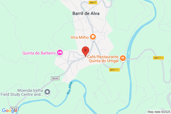 Anto J Miranda Correia
