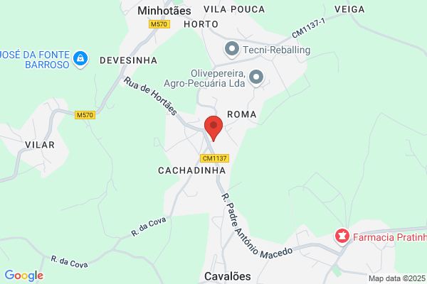 Arminda M Braga Melo