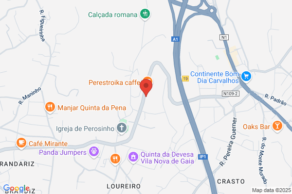 Aurora M O Ribeiro Marques