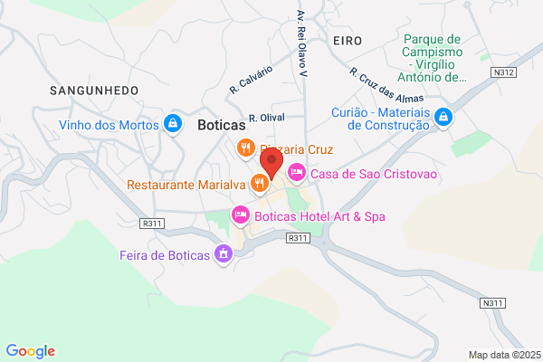 Carla T Silva Botica
