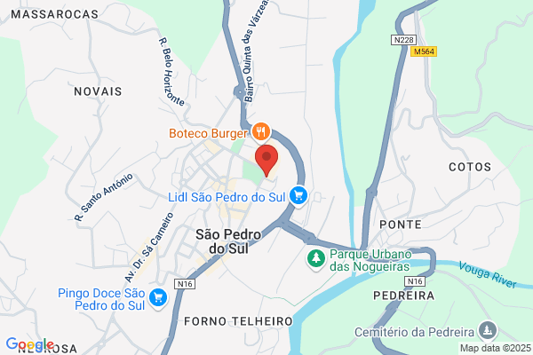Comissão De Protecção De Crianças E Jovens De s.Pedro Do sul