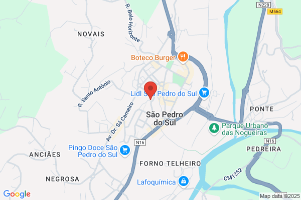 Maria Esmeralda A C Casais