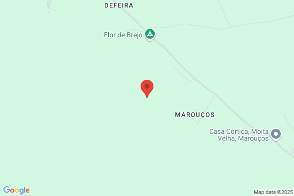 Helder M Martins Jacinto