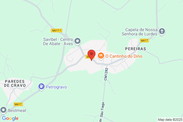 Gisela M Ferreira Lopes